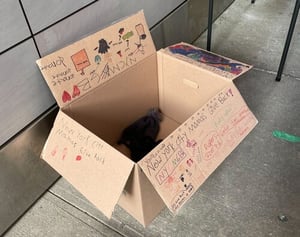 clothing drive run by Corlears students
