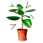 Plant icon
