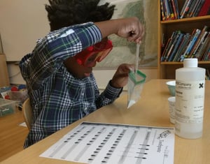A young student hard at work in science class
